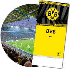 bilety w strefie VIP na mecz BVB
